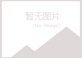 吴川字迹邮政有限公司